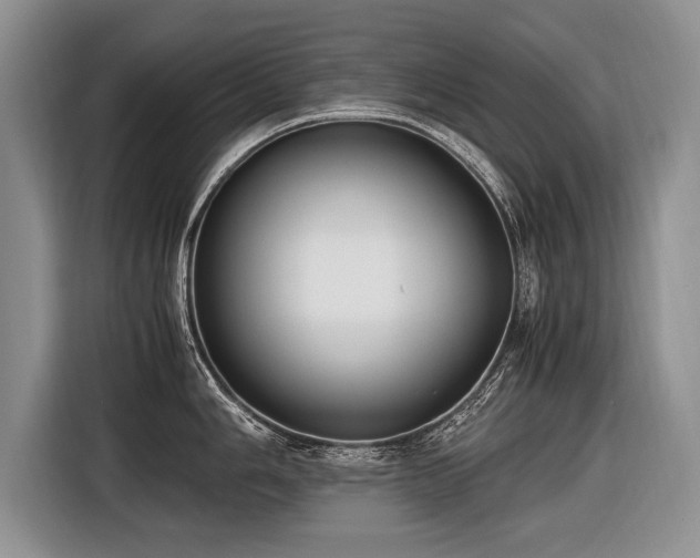 X0000116621006200912111152