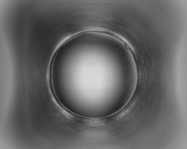 X0000116621007200912111152