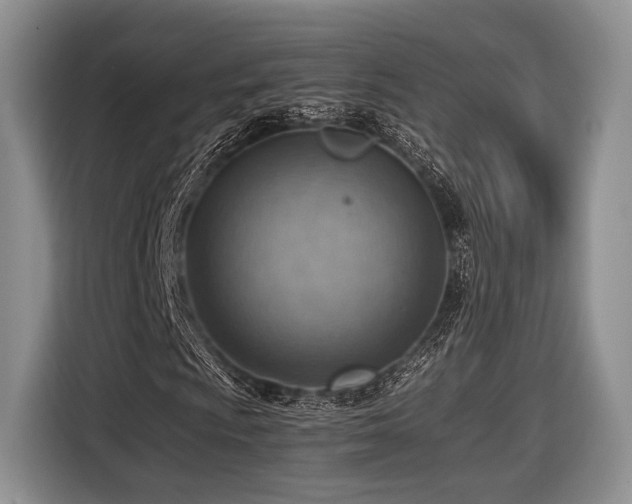 X0000116621009200912111152