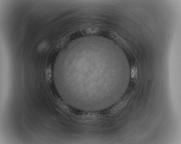 X0000116621011200912111152