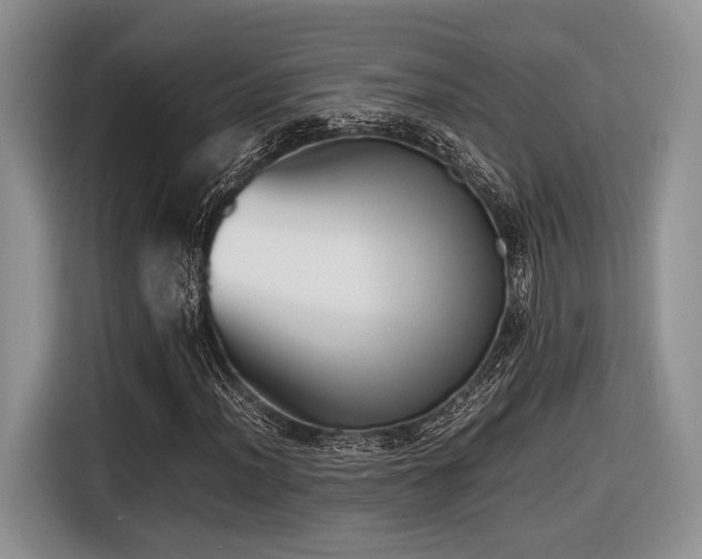 X0000116621012200912111152