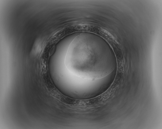 X0000116621013200912111152
