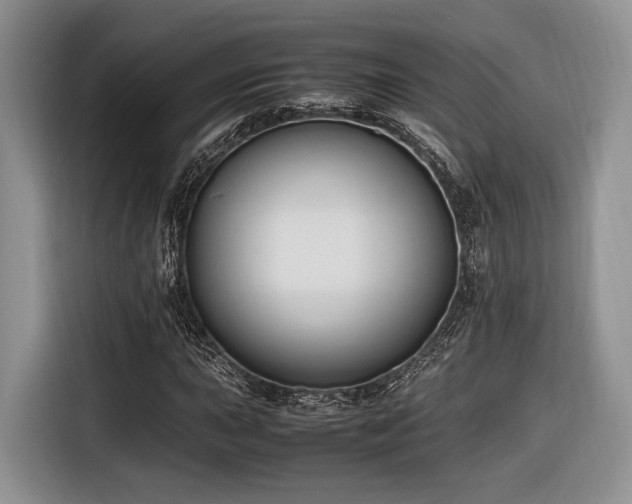 X0000116621015200912111152