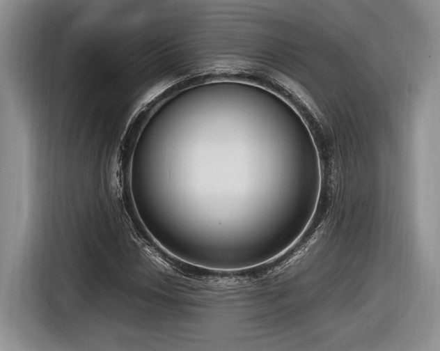 X0000116621018200912111152