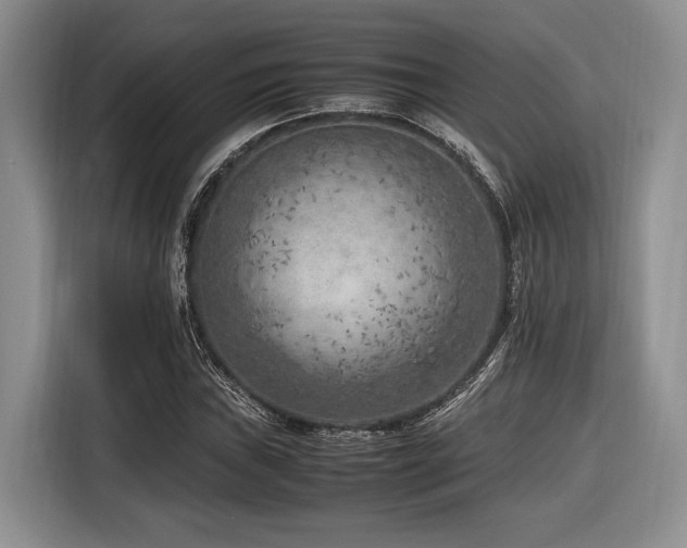 X0000116621019200912111152