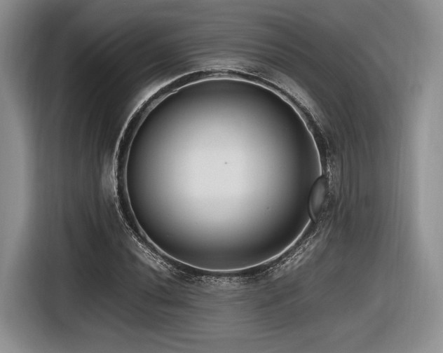 X0000116621020200912111152