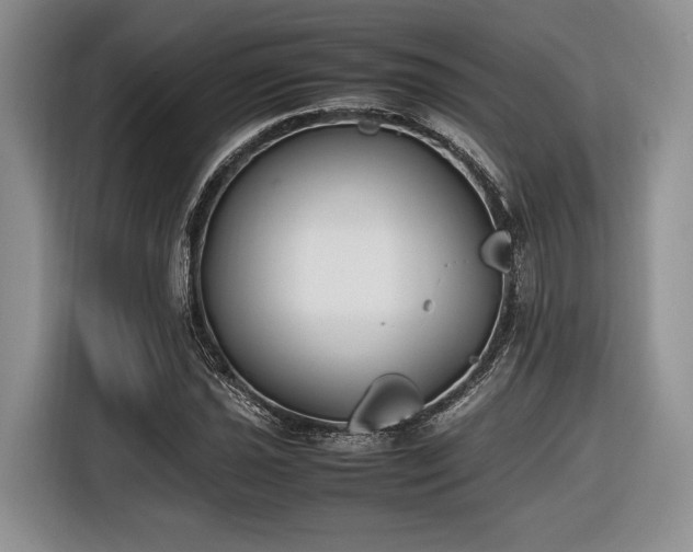 X0000116621021200912111152
