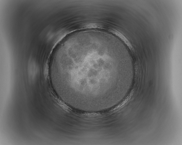 X0000116621023200912111152