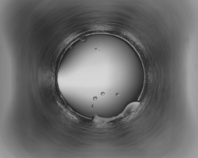 X0000116621025200912111152