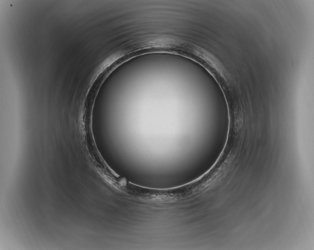 X0000116621026200912111152