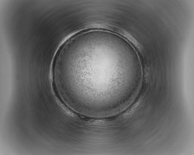 X0000116621028200912111152
