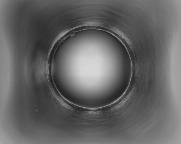 X0000116621029200912111152