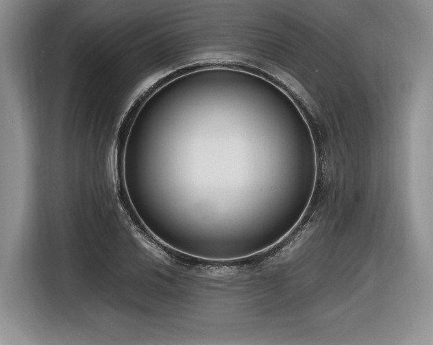 X0000116621030200912111152