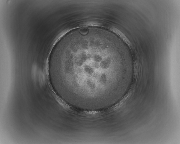 X0000116621031200912111152
