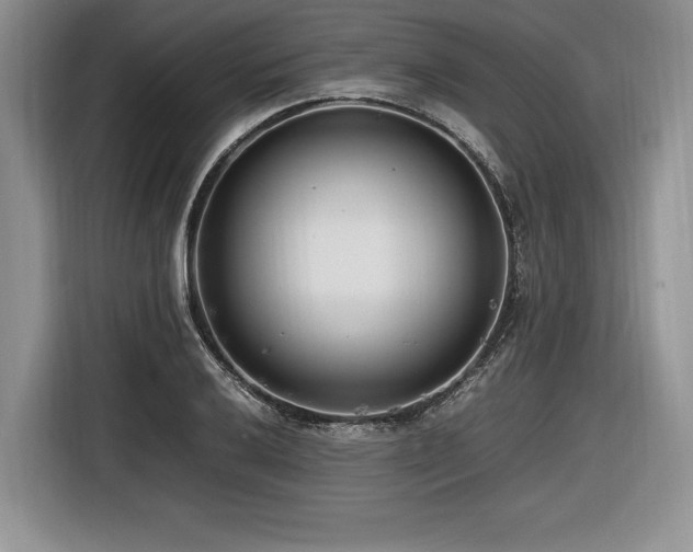X0000116621032200912111152