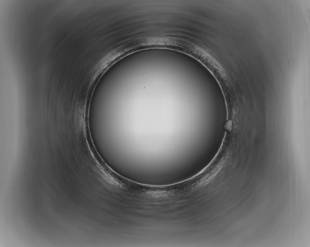 X0000116621033200912111152