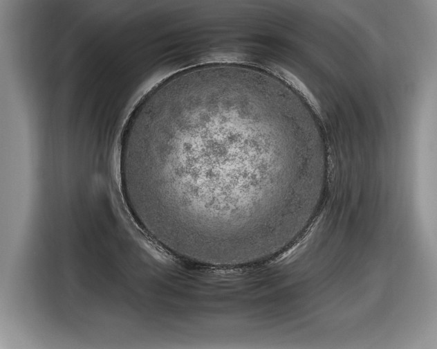 X0000116621035200912111152