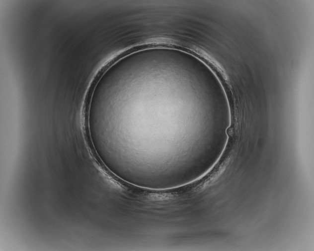 X0000116621037200912111152