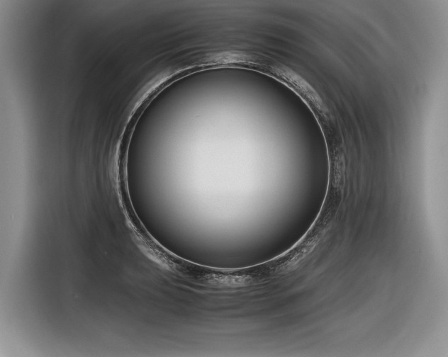 X0000116621039200912111152