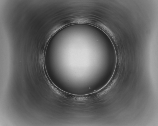X0000116621041200912111152