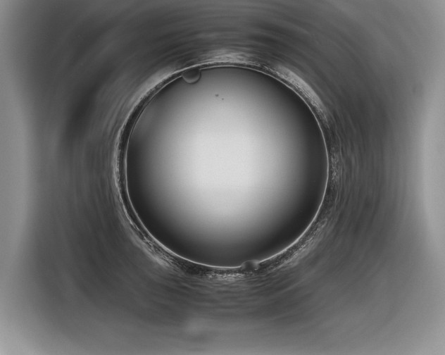 X0000116621043200912111152