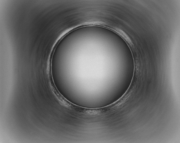 X0000116621044200912111152