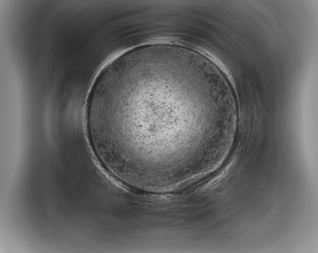 X0000116621045200912111152