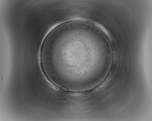 X0000116621048200912111152