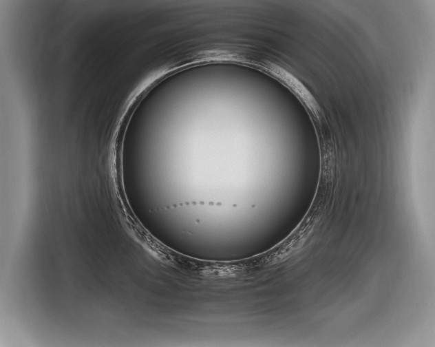 X0000116621051200912111152