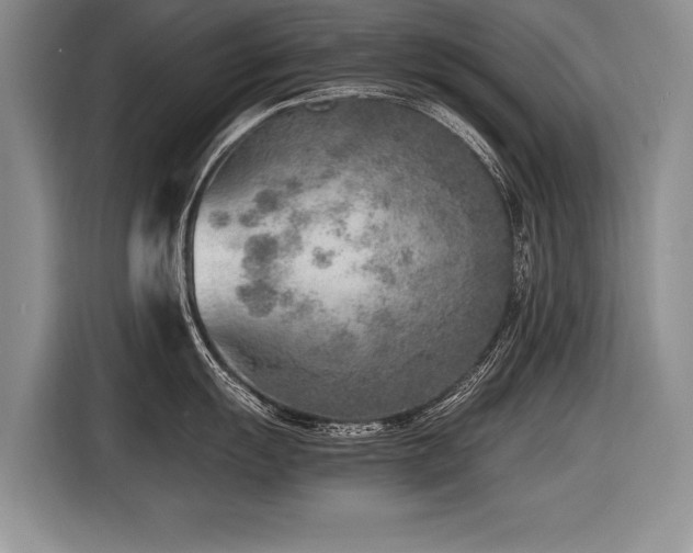 X0000116621055200912111152