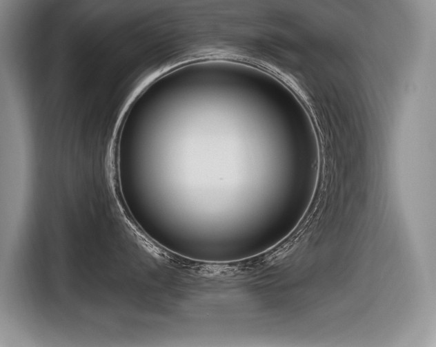 X0000116621056200912111152