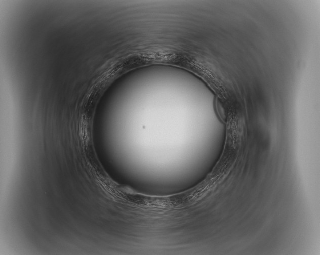 X0000116621058200912111152