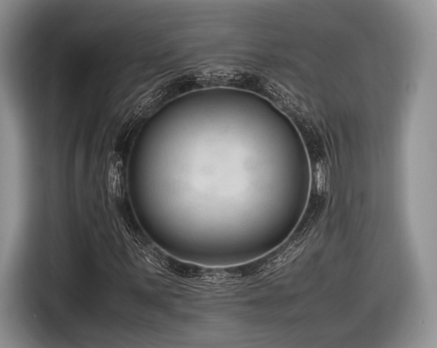 X0000116621059200912111152