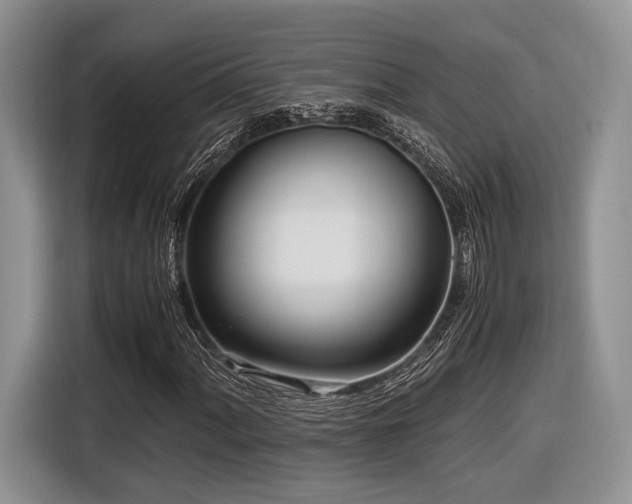 X0000116621060200912111152
