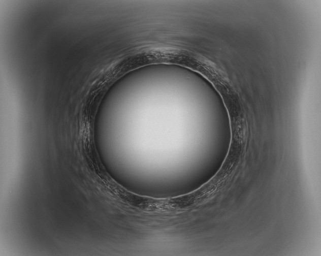 X0000116621061200912111152
