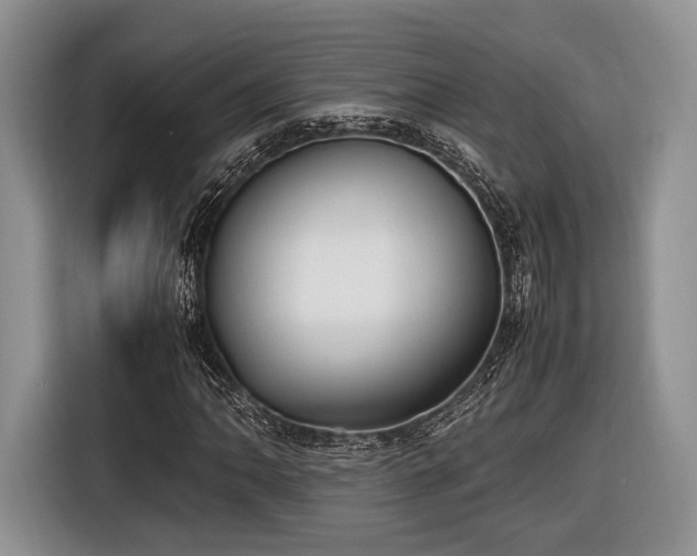 X0000116621062200912111152
