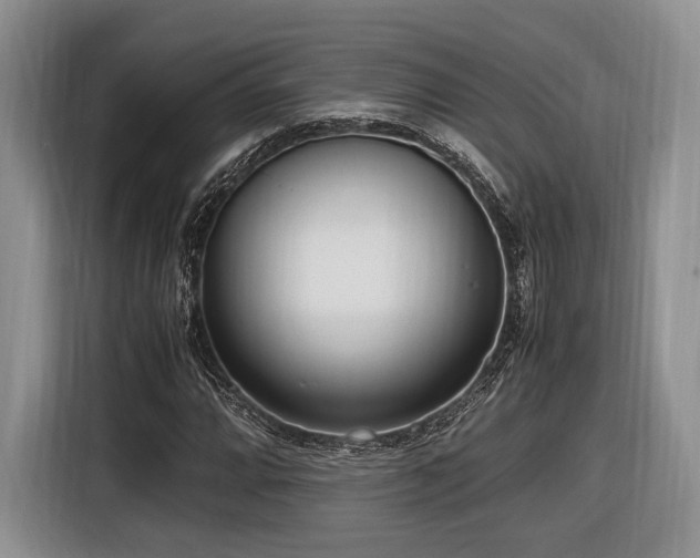X0000116621064200912111152