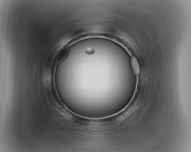 X0000116621065200912111152