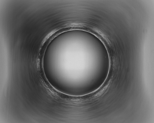 X0000116621066200912111152