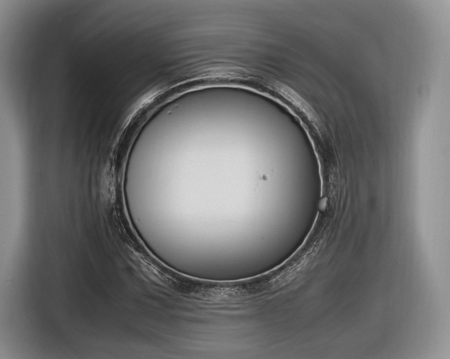 X0000116621067200912111152