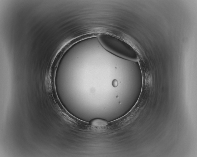 X0000116621068200912111152