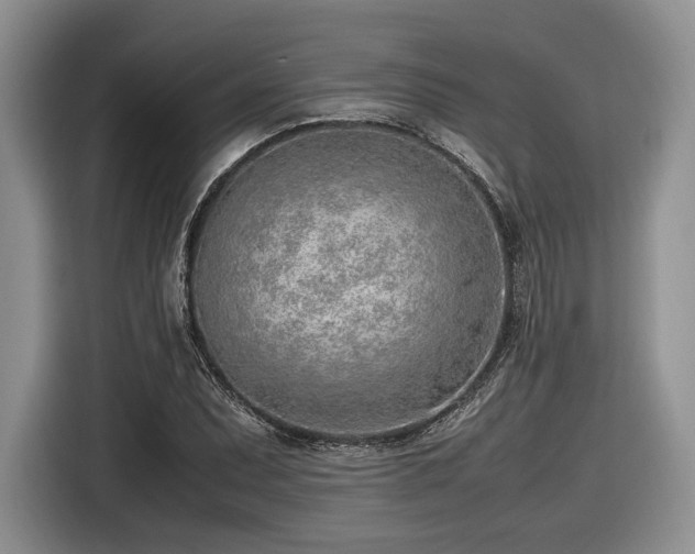 X0000116621071200912111151