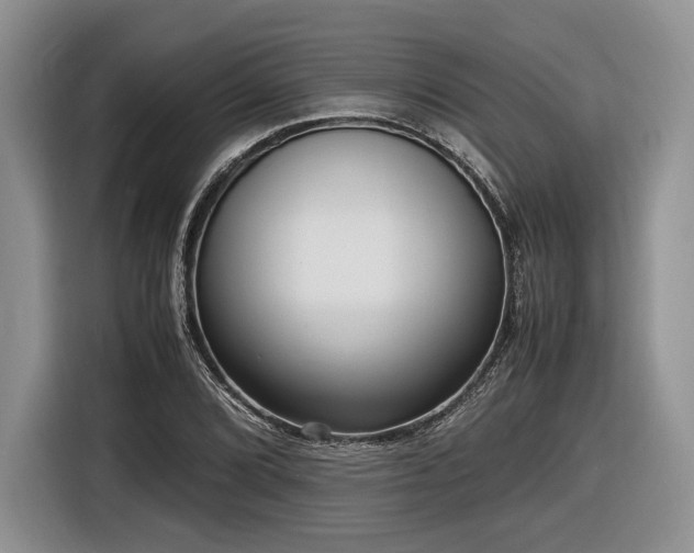 X0000116621072200912111151