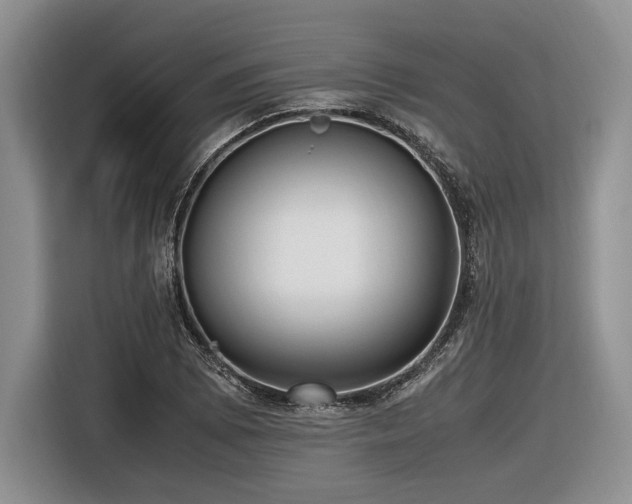 X0000116621073200912111151