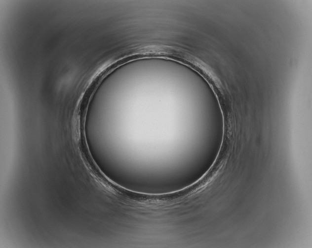 X0000116621075200912111151