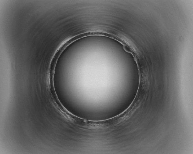 X0000116621076200912111151