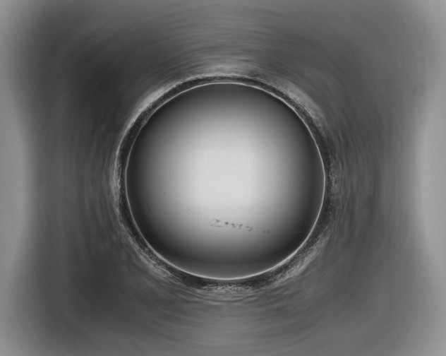 X0000116621077200912111151