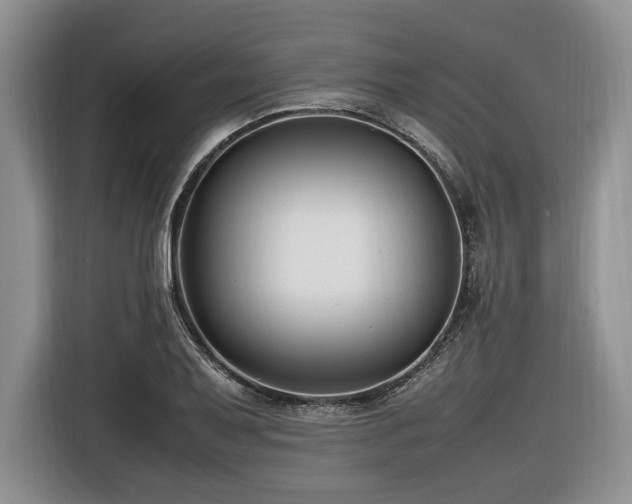 X0000116621079200912111151