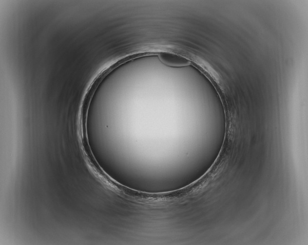 X0000116621080200912111151