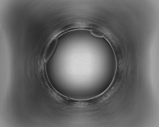 X0000116621081200912111151